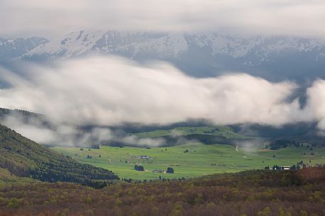 Spring in the magic plateau of Cansiglio from the Pizzoc mountain, Belluno, Italy