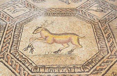 Detail of ancient floor Mosaic in the Basilica of Aquileia, Italy