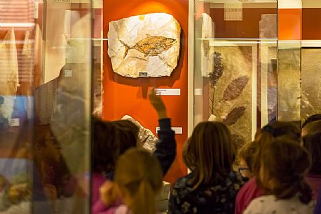Students at the fossil Museum of Bolca, one of the most important in the world, Lessinia, Italy