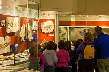 Students at the fossil Museum of Bolca, one of the most important in the world, Lessinia, Italy