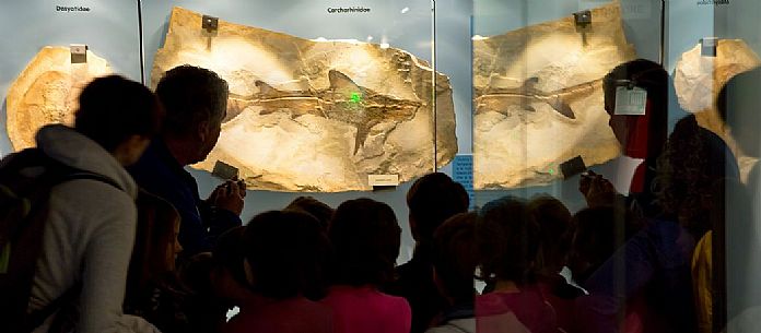 Students at the fossil Museum of Bolca, one of the most important in the world, Lessinia, Italy