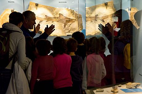 Students at the fossil Museum of Bolca, one of the most important in the world, Lessinia, Italy