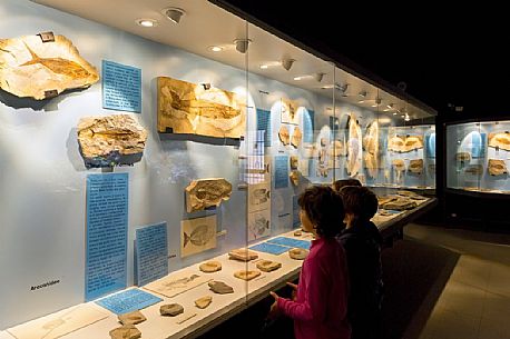 Students at the fossil Museum of Bolca, one of the most important in the world, Lessinia, Italy