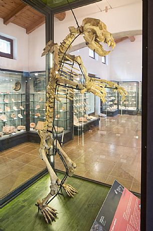 Museum Geo paleontological Attilio Benedetti at Campo Silvano, Lessinia, Italy