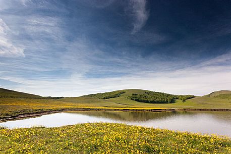 Spring blooming at Pantani of Accumuli Lakes near Castelluccio di Norcia, Italy Spring blooming at Pantani of Accumuli Lakes near Castelluccio di Norcia, Italy