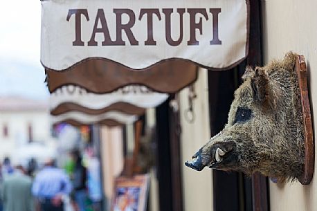 Shop selling truffles, in foreground trophy of a wild boar, Norcia, Italy
