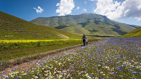 Young girl and her child hiking on the trails in the Pian Grande of Castelluccio di Norcia, in the background Vettore mountain and its fault, Sibillini National Park, Italy