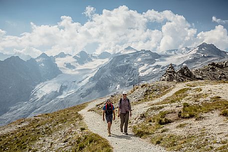 Hikers near Passo dello Stelvio pass and in the background the Stelvio glacier, Passo dello Stelvio national park, Italy
