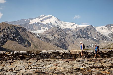 Hikers in high Martello valley and in the background the glacier of Cevedale mount,  Stelvio national park, Italy