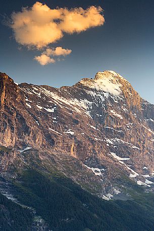 Sunset on Jungfrau mountain group and Eiger mount from Grindelwald village, Berner Oberland, Switzerland, Europe