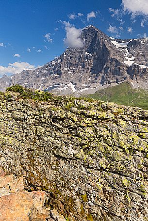 The famous north face of Eiger mount from the path to Mannlichen, Grindelwald, Berner Oberland, Switzerland, Europe
 