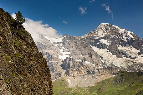 The famous Jungfrau mountain group, Kleine Scheidegg, Grindelwald, Berner Oberland, Switzerland, Europe
 