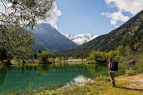 Hiking in Val Morteratsch valley towards Piz Bernina and Piz Argient mountain, Pontresina, Engadine, Canton of Grisons, Switzerland, Europe