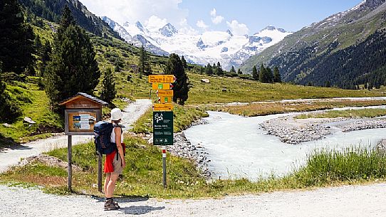 Hiker in Roseg valley, in the background the glacier and the Piz Roseg in the Bernina mountain group, Pontresina, Engadine, Canton of Grisons, Switzerland, Europe
