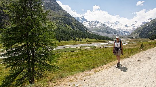 Hiker in Roseg valley, in the background the glacier and the Piz Roseg in the Bernina mountain group, Pontresina, Engadine, Canton of Grisons, Switzerland, Europe