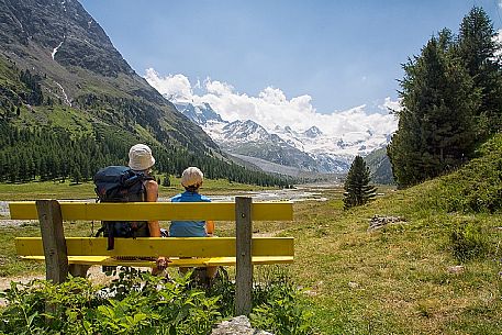Hikers in Roseg valley, in the background the glacier and the Piz Roseg in the Bernina mountain group, Pontresina, Engadine, Canton of Grisons, Switzerland, Europe