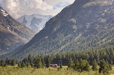 Bernina Express train from Tirano to Saint Moritz, in the background Morteratsch glacier and Bernina mountain range, Pontresina, Engadin, Canton of Grisons, Switzerland, Europe