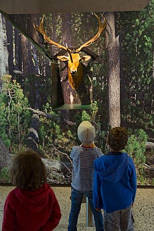 Children inside the museum looking the head of a deer, Vistor Center of Swiss National Park, Zernez, Engadin, canton of Grisons, Switzerland, Europe