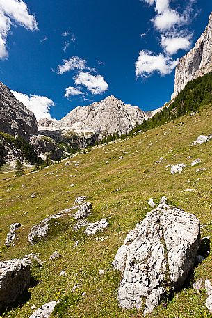 Ombretta mount and the south cliff of Marmolada from Ombretta valley, Alto Agordino, dolomites, Veneto, Italy, Europe