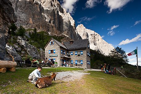 Child caressing a goat at the Falier alpine hut, below at the south cliff of Marmolada, Val Ombretta, dolomites, Veneto, Italy, Europe