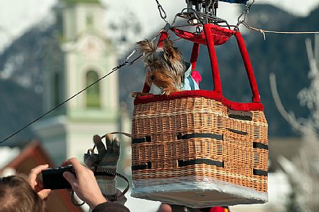 Little dog in a basket of hot air balloon during the balloon festival in Pusteria valley, in the background the bell tower of Dobbiaco church, dolomites, Trentino Alto Adige, Italy, Europe