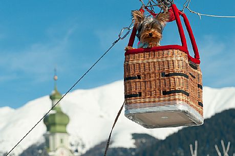 Little dog in a basket of hot air balloon during the balloon festival in Pusteria valley, in the background the bell tower of Dobbiaco church, dolomites, Trentino Alto Adige, Italy, Europe