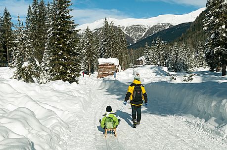 Mother dragging her son in the sled, Val Fiscalina, Sesto, dolomites, South Tyrol, Italy, Europe