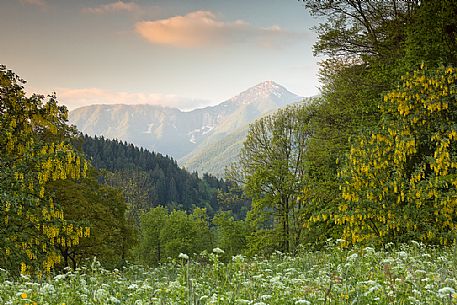 Spring landscape of the meadows in Avaglio and Trava village, Carnia, Friuli Venezia Giulia, Italy, Europe