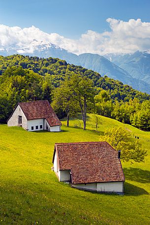 Traditional mountain houses in the green meadows, Villa Santina, Carnia, Friuli Venezia Giulia, Italy, Europe