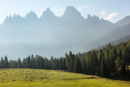 Hiking in the meadows of Costa Vedorcia, in the background the dolomites of Dolomiti Friulane Natural Park, Cadore, dolomites, Veneto, Italy, Europe