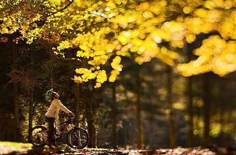 Young boy riding bicycle in the autumnal forest, Cansiglio, Veneto, Italy