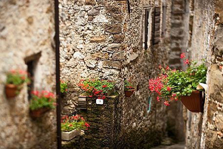 Traditional alley in the small village of Poffabbro, Colvera valley, Friuli Venezia Giulia, Italy, Europe