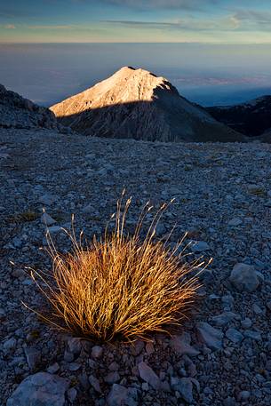 Blades of grass at sunset in the amphitheater of the Murelle, Majella national park, Abruzzo, Italy, Europe