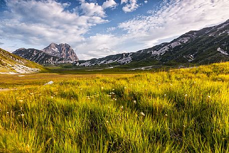 Grassalnd in the plateau of Campo Imperatore, Gran Sasso national park, Abruzzo, Italy, Europe