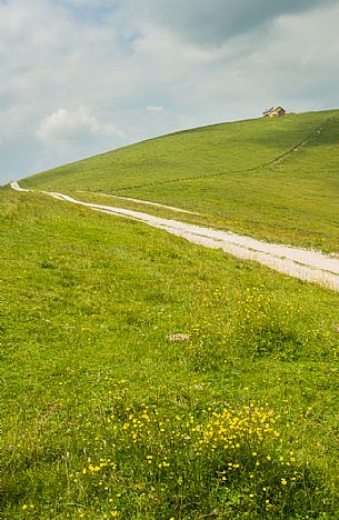 Dosso alm in the Asiago plateau, Asiago, Veneto, Italy, Europe