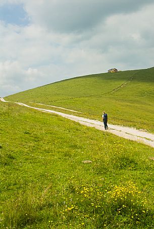 Hiker walking to Dosso alm in the Asiago plateau, Asiago, Veneto, Italy, Europe