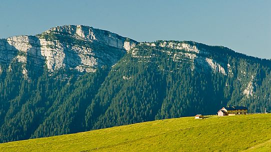 Dosso alm and in the background the Verena mount, Asiago, Veneto, Italy, Europe