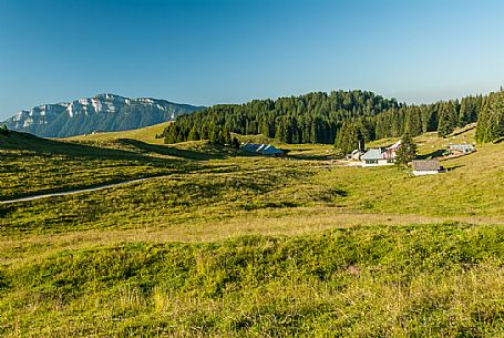 Malga Porta Manazzo hut and in the background the Verena mount, Asiago, Veneto, Italy, Europe