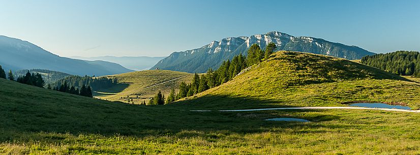 Porta Manazzo landscape and in the background the Verena mount, Asiago, Veneto, Italy, Europe