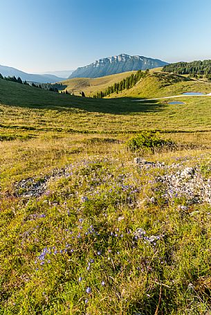 Porta Manazzo landscape and in the background the Verena mount, Asiago, Veneto, Italy, Europe