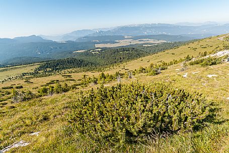 Manderiolo landscape andi in the background the Verena mount and the Manazzo pasture, Asiago, Veneto, Italy, Europe