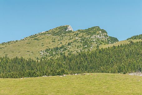 Porta Manazzo pasture and in the background the Manderiolo mount, Asiago, Veneto, Italy, Europe