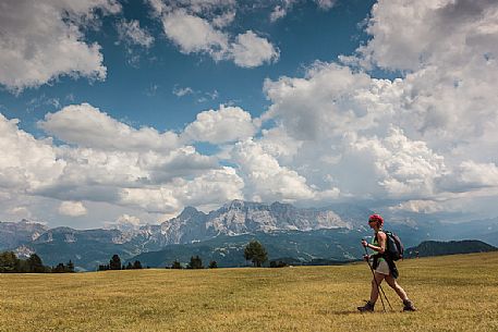 Hiker on the pasture of Utia Vaciara hut, in the background the Fanes mountain range, San Martino in Badia, Badia valley, dolomites, South Tyrol, Italy, Europe