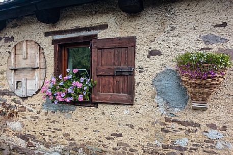 Detail of Ielma alm with fresh flowers hanging in the wall, Prato Carnico, Carnia, Friuli Venezia Giulia, dolomites, Italy, Europe