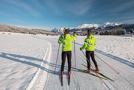 Cross country ski in the Cansiglio plateau, Veneto, Alps, Italy, Europe