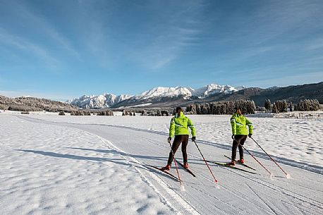 Cross country ski in the Cansiglio plateau, Veneto, Alps, Italy, Europe
