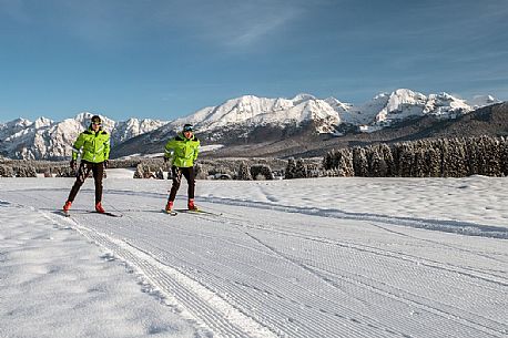 Cross country ski in the Cansiglio plateau, Veneto, Alps, Italy, Europe