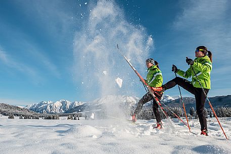 Cross country ski in the fresh snow, Cansiglio plateau, Veneto, Alps, Italy, Europe