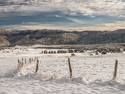 Winter path in the Piana Cansiglio plateau, Veneto, Italy, Europe