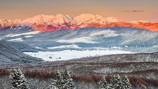 Panoramic view of the Cansiglio plateau surrounded by the forest in a wintry sunrise, in the background the Monte Cavallo mountain range Veneto, Italy, Europe
